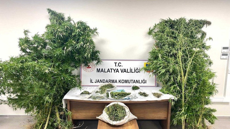 Malatya’da Uyuşturucu Operasyonlarında 16 Şüpheli Tutuklandı
