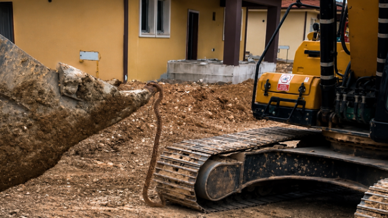 Darende'de İşçileri Korkutan Yılan Kepçe Yardımıyla Çıkarıldı