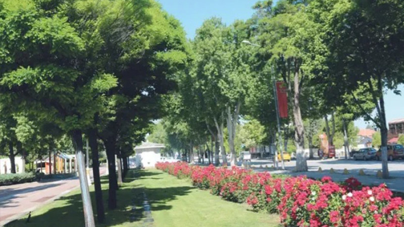 Şehir Peyzajlarında Bakanlık Standardı Geliyor
