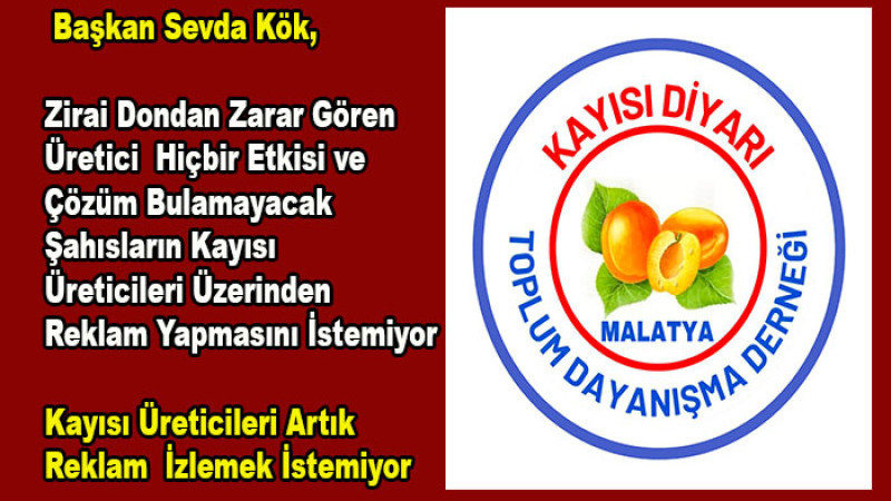 Başkan Sevda Kök,  Eline Bir Kayısı Dalı  Alan Reklama Koşuyor