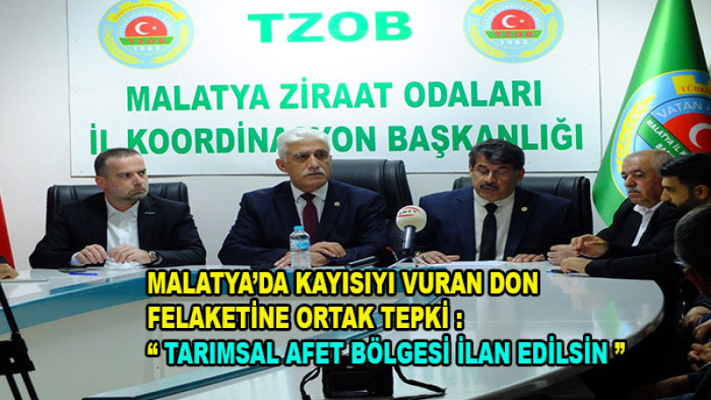 Kayısı'da Sadece Zarar 200 Milyar TL. Ayrıca 550 Bin Kişi Doğrudan Etkilendi