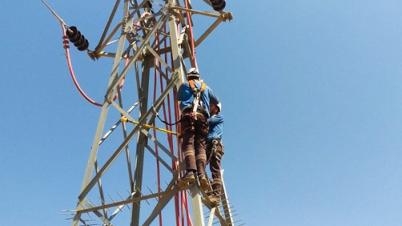 Fırat EDAŞ Hem Kesintisiz Enerji Sağlarken Hemde Doğayı Koruyor