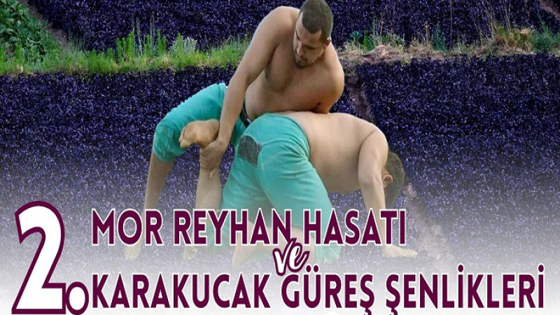 Arapgir’de 2. Mor Reyhan Hasadı ve Karakucak Güreş Şenlikleri Düzenlenecek