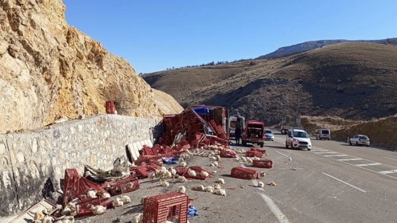 Akçadağ Durulova Mahallesi'nde Tavuk Yüklü Kamyon Devrildi. Yüzlerce Tavuk Telef Oldu