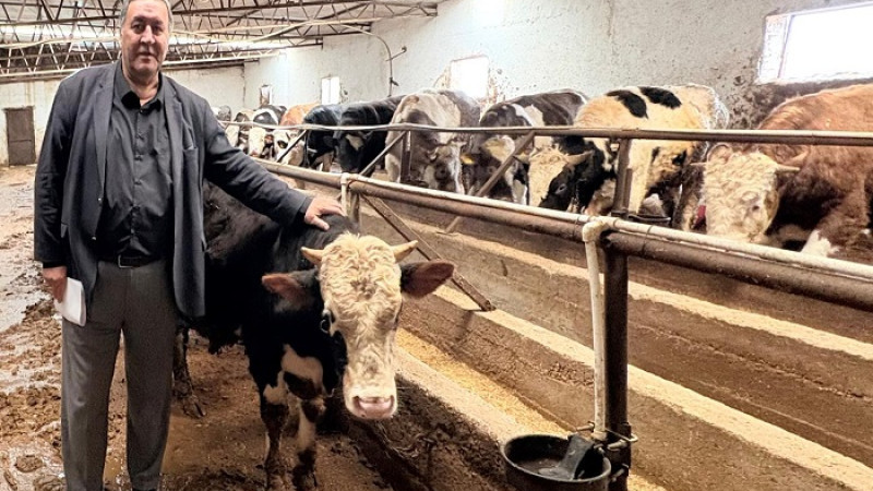 Milletvekili Ömer Fethi Gürer: “Şap İle Et, Süt, Buzağı ve Hayvan Kayıpları Yaşandı”