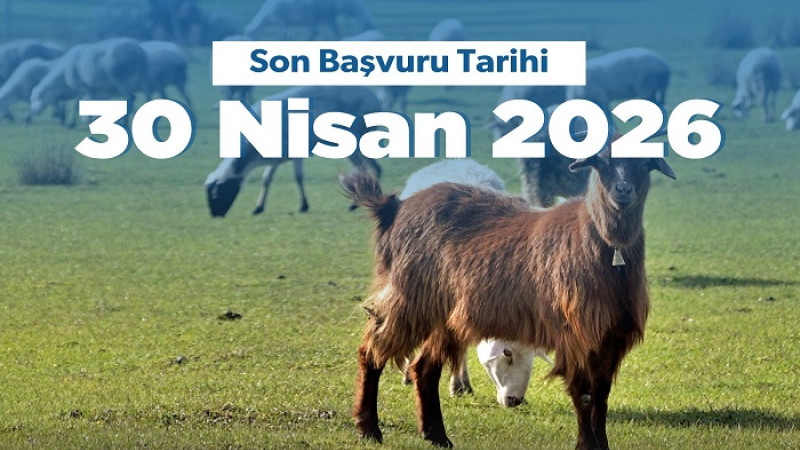 Kırsalda Küçükbaşa Destek Projesi