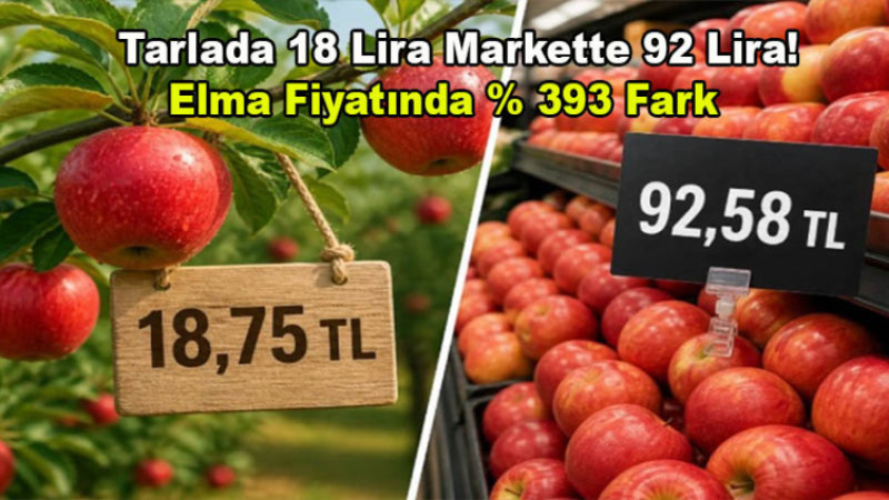 Tarlada 18 Lira Markette 92 Lira! Elma Fiyatında % 393 Fark 