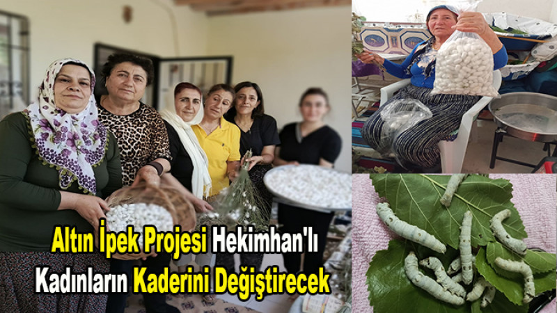 Hekimhan'lı Kadınlardan İpek Böceği Yetiştiriciliğine Yoğun İlgi