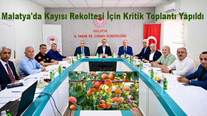 Malatya'da 2026 Kayısı Rekoltesi Temmuz Ayında Açıklanacak