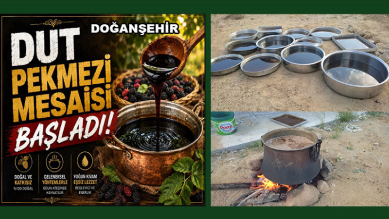 Doğanşehir Fındık Mahallesi’nde Pekmez Mesaisi Başladı