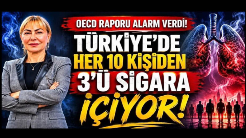 Prof. Dr. Açık, Tütün ve Nikotin Ürünleri Gençlere ‘Masum’ Gösteriliyor