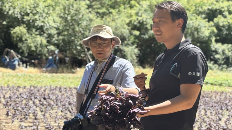 Arapgir'e Gelen Japon Heyet Çeşitli İncelemelerde Bulundu