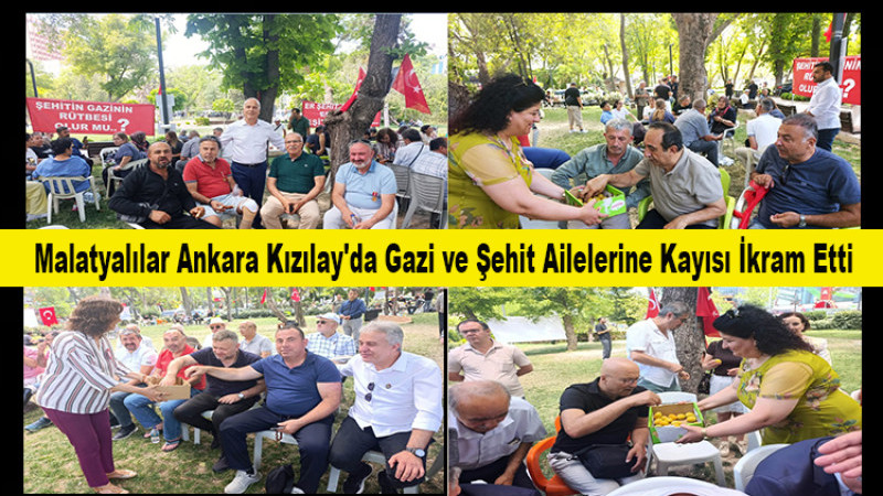 Malatyalılar Ankara Kızılay'da Gazi ve Şehit Ailelerine Kayısı İkram Etti