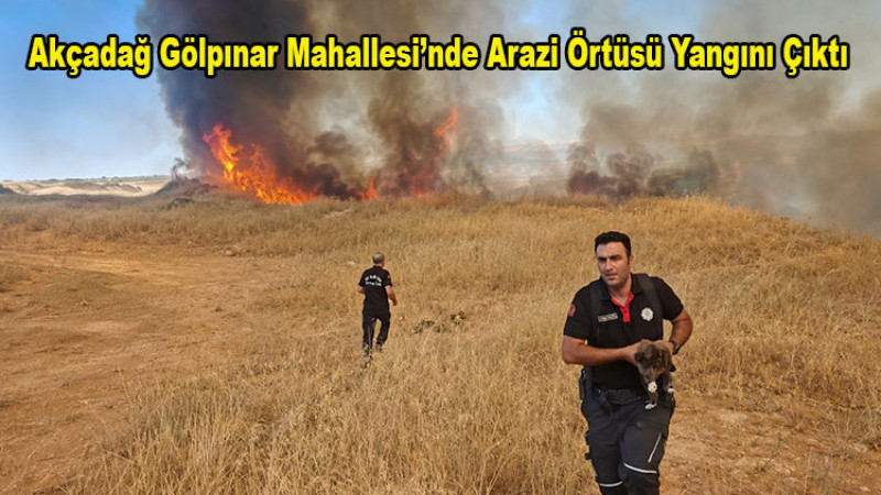 Akçadağ'da Arazi Örtüsü Yandı. Yavru Köpek Son Anda Kurtarıldı