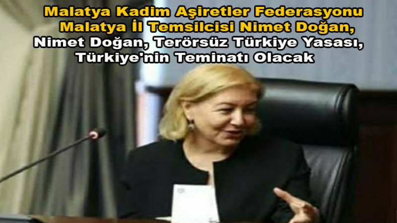 Nimet Doğan, Terörsüz Türkiye Yasası, Türkiye'nin Teminatı Olacak