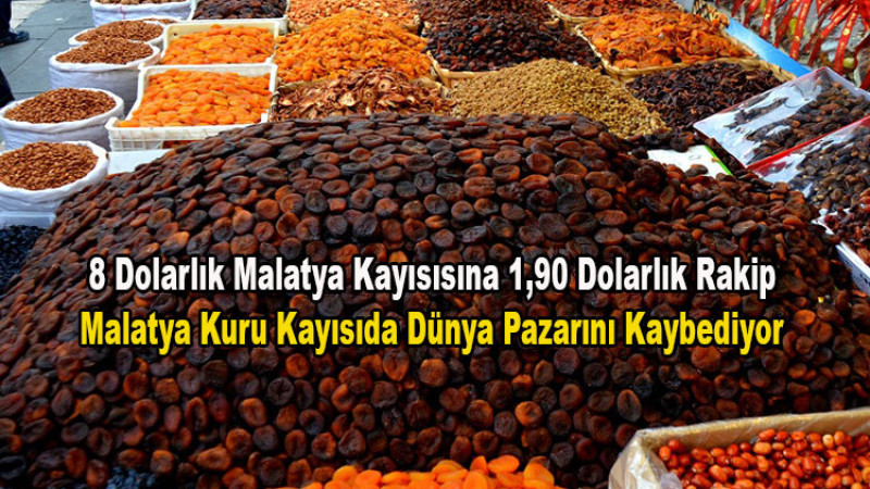Solmaz, Malatya Kuru Kayısıda Dünya Pazarını Kaybediyor